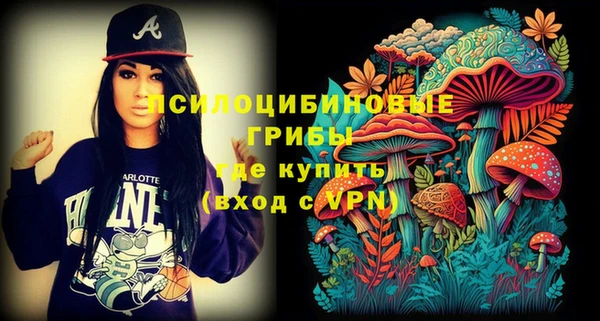 прущая мука Краснослободск