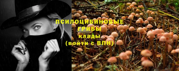 крисы Фёдоровский