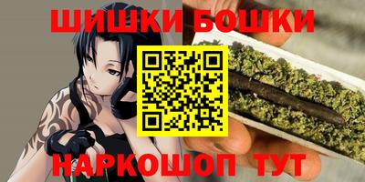 шишки Камышлов