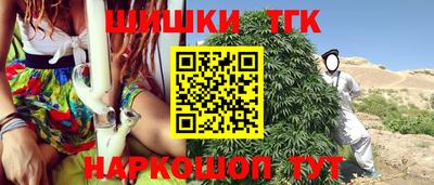 шишки Камышлов
