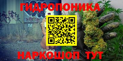 крисы Кандалакша