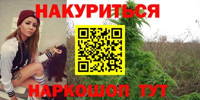 шишки Камышлов