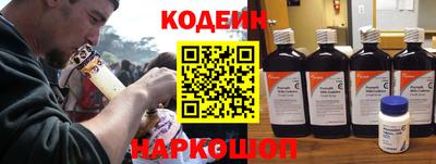 шишки Камышлов
